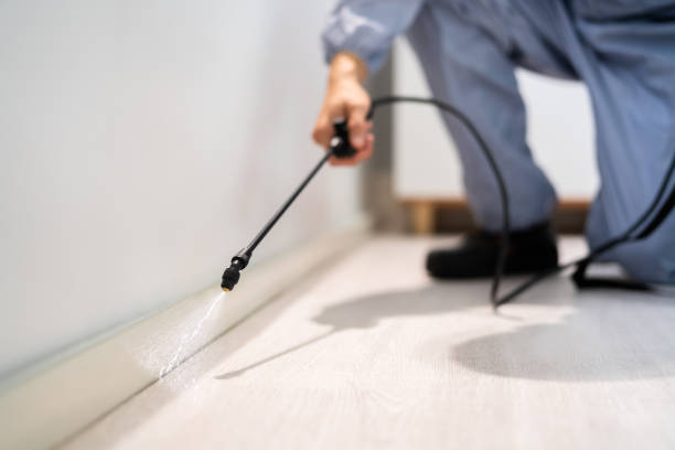 Licensed Rodent Control service in Okmulgee, OK - Nex Pest Control