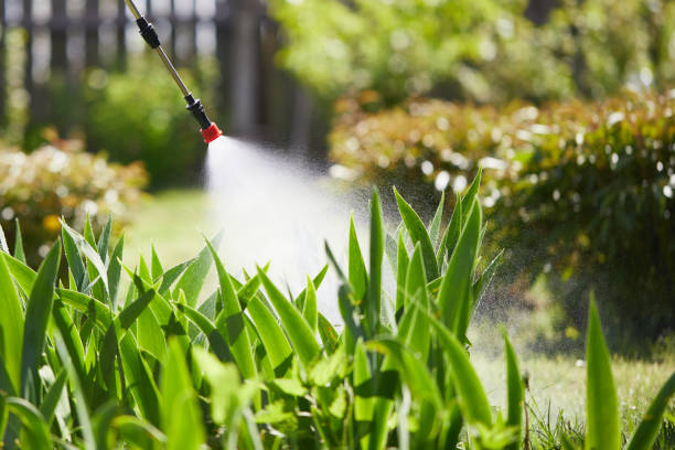 24/7 Emergency Rodent Control experts in Okmulgee, OK