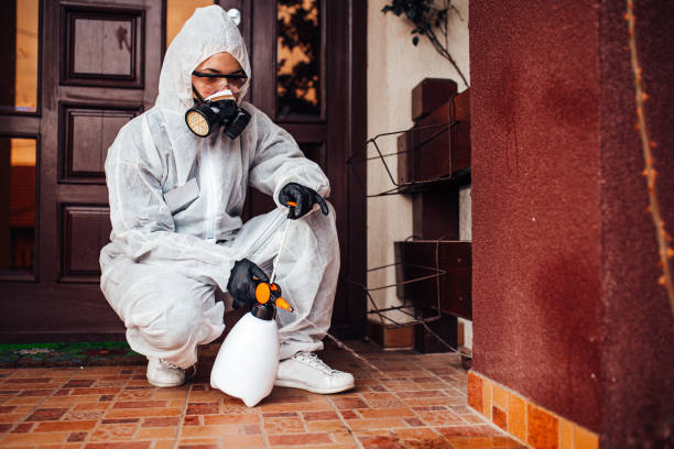Reliable Rodent Control contractor in Okmulgee, OK by Nex Pest Control