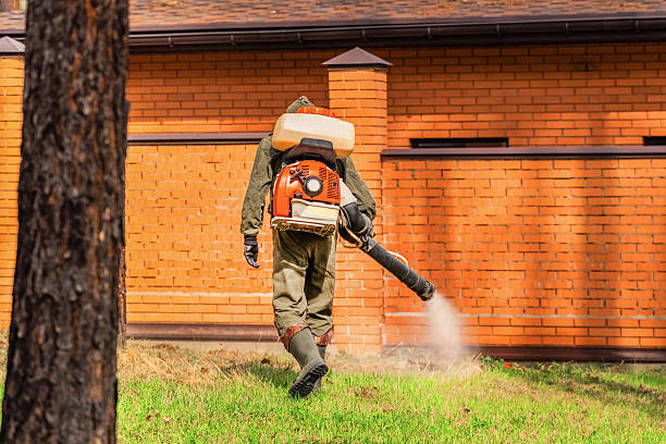 Trusted Ant Control service in Okmulgee, OK - Nex Pest Control